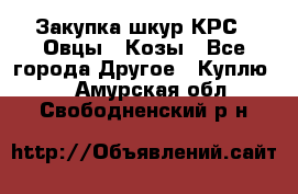 Закупка шкур КРС , Овцы , Козы - Все города Другое » Куплю   . Амурская обл.,Свободненский р-н